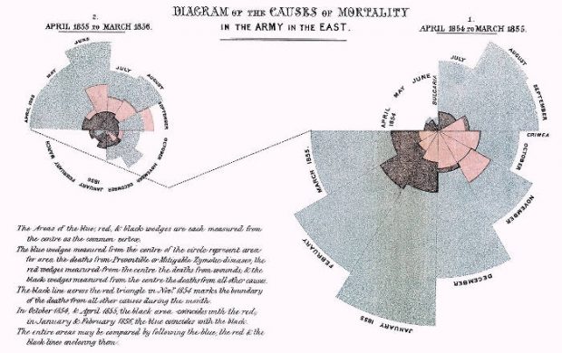 Florence Nightingale, róża Nightingale