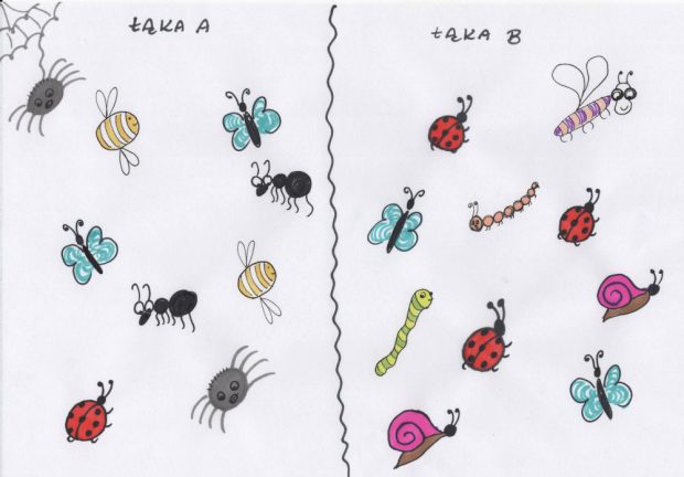 indeks Jaccarda: łąka A i B